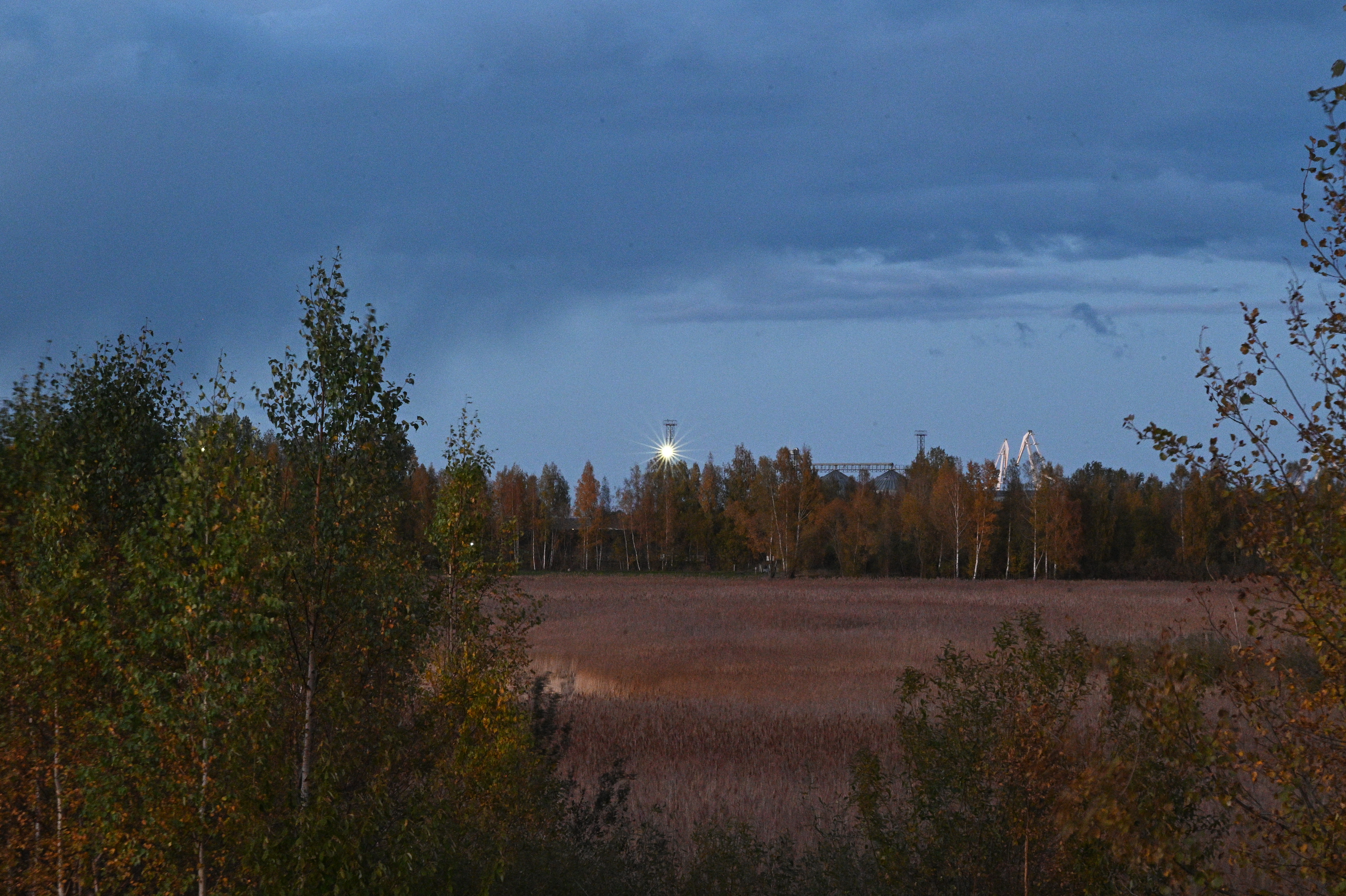 2025/10/18 - walk/DSC_0639.JPG